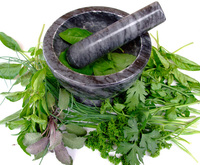 mortar-pestle-with-herbs-1320205