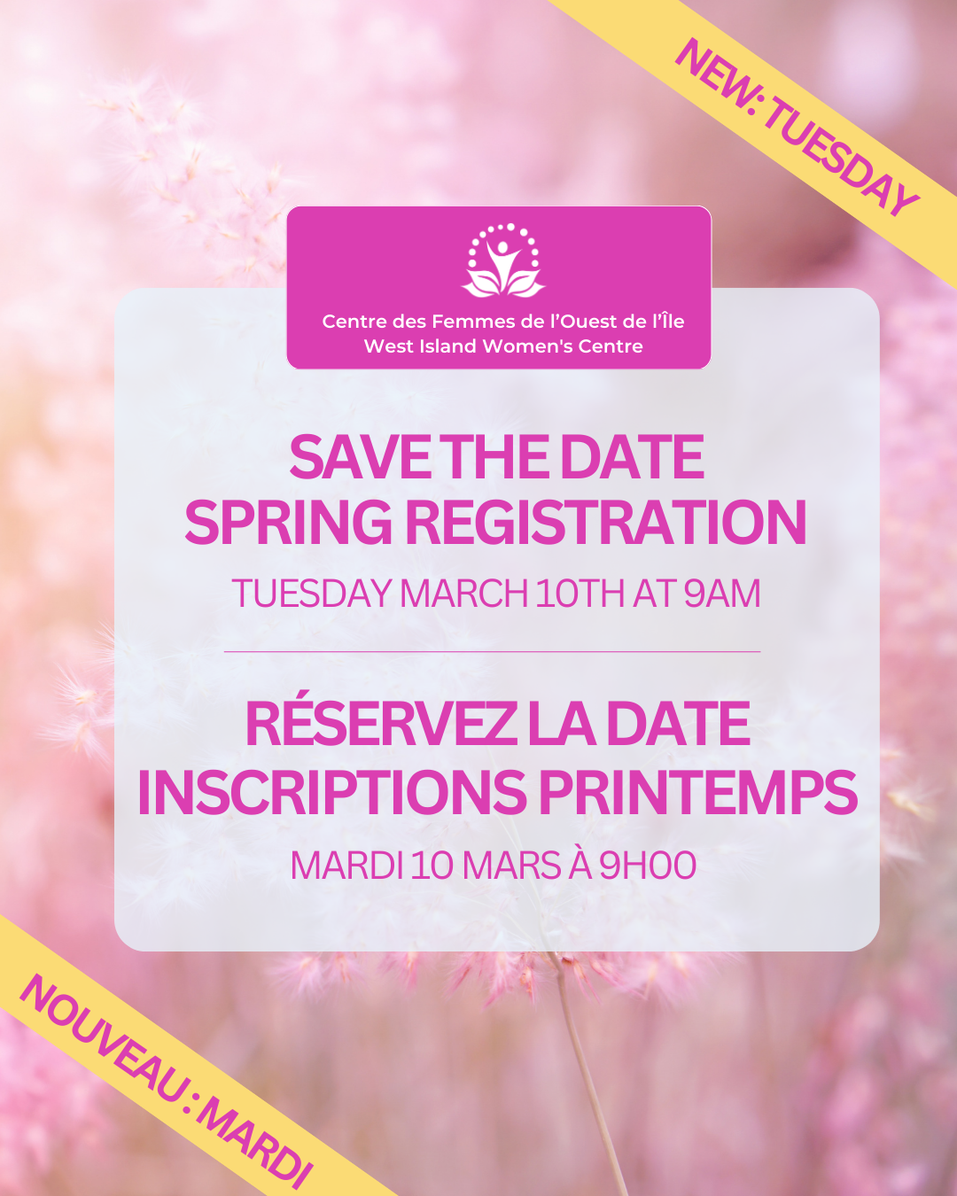 spring registration 2026